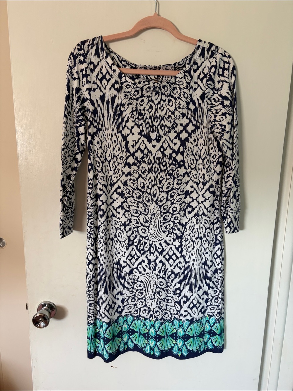 Blue and White Printed Long Sleeve Dress with Teal Border